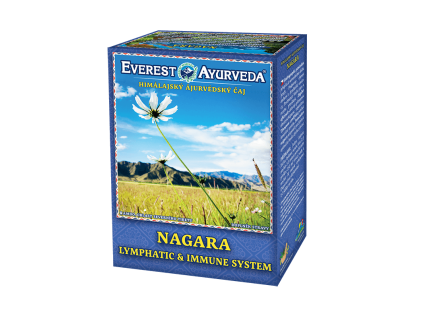 Himalájsky čaj - Nagara (100g)