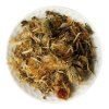 Bylinný čaj - Arnika horská /kvet/ (25g)